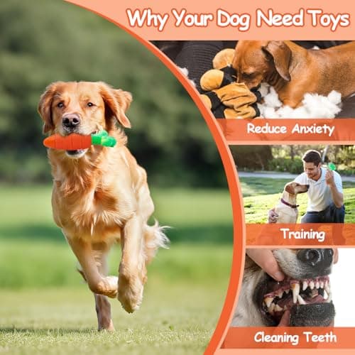 BoYoYo Tough Dog Toys for Aggressive Chewers with Squeaky, Indestructible Dog Chew Toys for Medium and Large Breeds to Keep Them Busy, Interactive Durable Dog Toy - Thumbnail 6