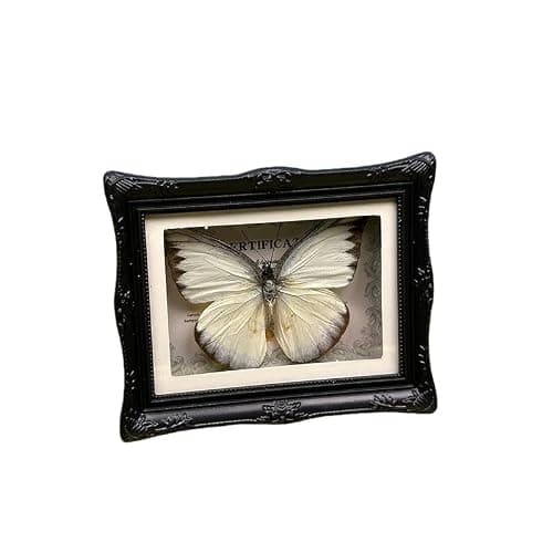 1Pcs Real Butterfly Framed Handmade, Taxidermy Butterfly Shadow Box Collection, Framed Butterfly Taxidermy for Oddities and Curiosities Gifts Tabletop Ornaments (#16-butterfly Specimen+photo Frame) - Thumbnail 2