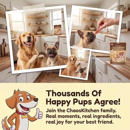 Chaoskitchen Smoked Chicken Jerky Dog Treats,Grain-Free High Protein Slices Healthy Training Rewards for Small Medium Large Dogs,Puppy Senior Friendly,Sensitive Stomach Safe,8.8oz/250g - Thumbnail 4
