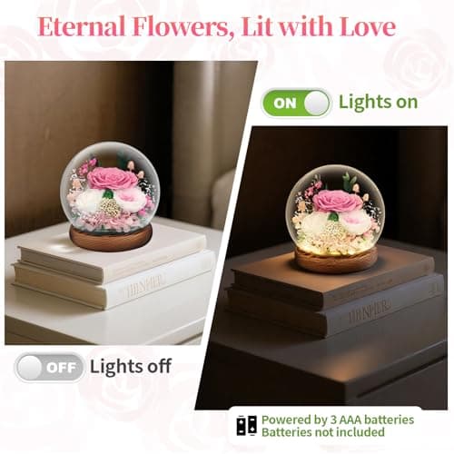 Preserved Flowers for Delivery Prime, Gifts for Mom Wife Grandma Girlfriend, Forever Flowers Gifts for Women, Real Eternal Rose for Birthday, Anniversary, Pink - Thumbnail 5