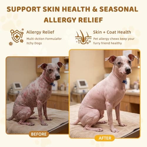 Hipypaw Dog Allergy Relief Chews - Dogs Chew for Itching Relief and Skin Allergy- Soft Probiotics Chew for Dogs Digestive Health Gut Health & Immune System-Skin and Coat Health-100ct - Thumbnail 5