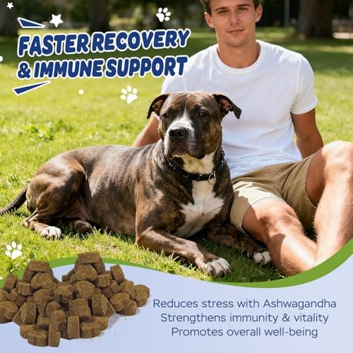 Xiderdl 11-in-1 Muscle & Weight Support Chews for Dogs – High Protein Supplement with Amino Acids, BCAAs, Antioxidants & Vitamins – Muscle Support Soft Chews for Puppies & Adult Dogs, 120 Count - Thumbnail 4