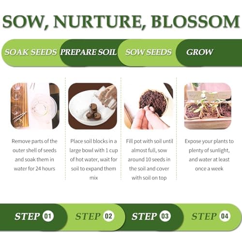 5 DIY Bonsai Tree Kit for Beginners, Complete Indoor Gardening Starter Kit with Seeds, Soils, Pots & Tools, Unique Birthday Gifts Ideas for Women, Men - Thumbnail 4