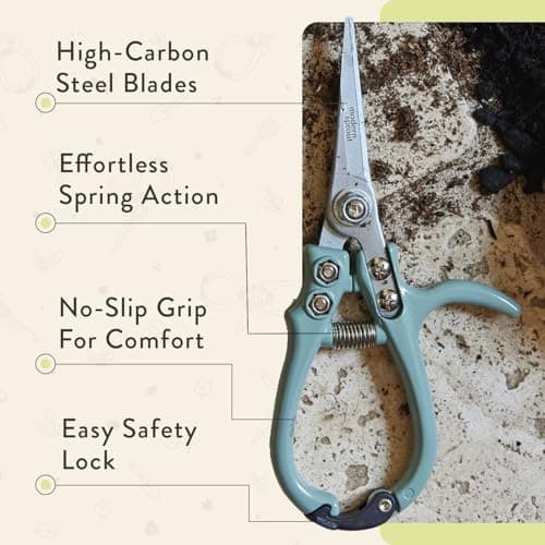 Modern Sprout Pruning Shears - Herb Snipping Scissors- Lightweight Gardening Tools W/Easy Lock - Flower Cutter Garden Shears - Carbon Steel Blade + Reusable Holster (Chartreuse, 1-Pack) - Thumbnail 2