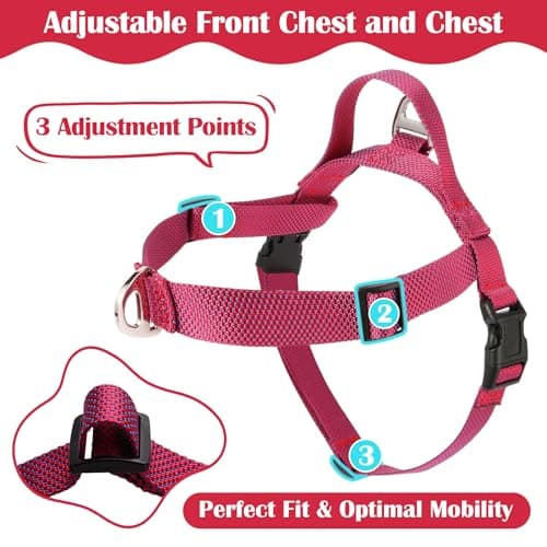 Annchwool No Pull Dog Harness with Front Clip and Easy Control Handle-Belly & Chest Adjustable Dog Harness and Leash Set for Medium Large Dogs-Heavy Duty Vest Harnesses Easy for Walking(Red,L) - Thumbnail 2