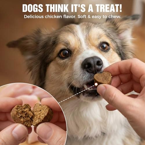 KISFLY 8-in-1 Dog Multivitamin Soft Chews – Glucosamine & Chondroitin for Joint Health, Probiotics for Gut Support, Omega-3 for Skin & Coat, Immune & Digestive Support – All Ages & Breeds – 120 Count - Thumbnail 5