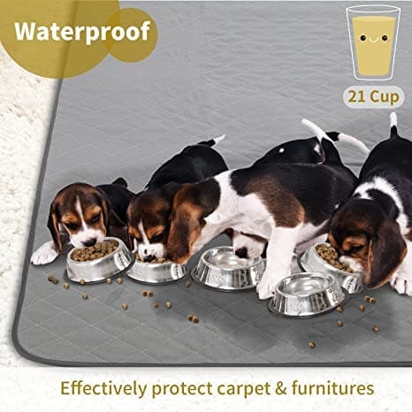 Washable Reusable Dog Pee Pads, 34"x52" Absorbent & Waterproof Puppy Training Pad for Crate, Playpen & Carpet, Large Potty Pads for Dogs, Cats & Small Pets - Thumbnail 2