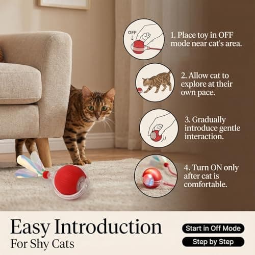 Interactive Cat Toy for Indoor Cats - Automatic Cat Toy Ball with Tail, Self Moving Electric Kitten Toys, USB Rechargeable Smart Rolling Ball, Motion Activated Cat Enrichment Toys for Bored Cats Red - Thumbnail 5