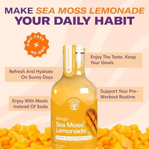 Sea Moss Lemonade Variety Pack – 4 Flavors Sampler: Lemon, Mango with electrolyte, Berry, Pina Colada – Vegan Hydration Drink – 4 x 12 fl oz Bottles – Made in USA - Thumbnail 6