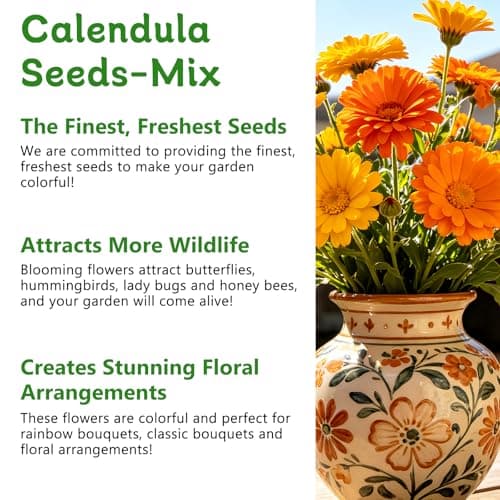 LUOJIBIE Calendula Seeds, Calendula Seeds for Planting Outdoor & Indoor, 8,000+ Pacific Beauty Mix Annual Flower Seeds Bulk, Non-GMO Flower Seeds, Large Blooms, Easy to Grow - Thumbnail 4