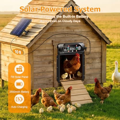 Automatic Chicken Coop Door Solar Powered, Large 9.45" x 10" Opening, Roll-Up Auto Chicken Door Opener with Light Sensor, Timer & Remote Control, Anti-Pinch Aluminum, Weatherproof for Outdoor - Thumbnail 4