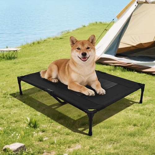 Elevated Dog Bed with Heavy-Duty Steel Frame, Breathable Mesh Cooling Surface, Easy to Clean, Portable Raised Dog Cot for Indoor & Outdoor Use,42x30x8 Inches Black Dog Bed,Size M.