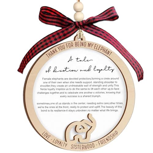 Elephant Ornaments for Sisterhood, Friendship Ornaments for Women Friends with Story Text - Elephant Gifts for Women, Best Friend Christmas Birthday Gifts for Sister, Bestie