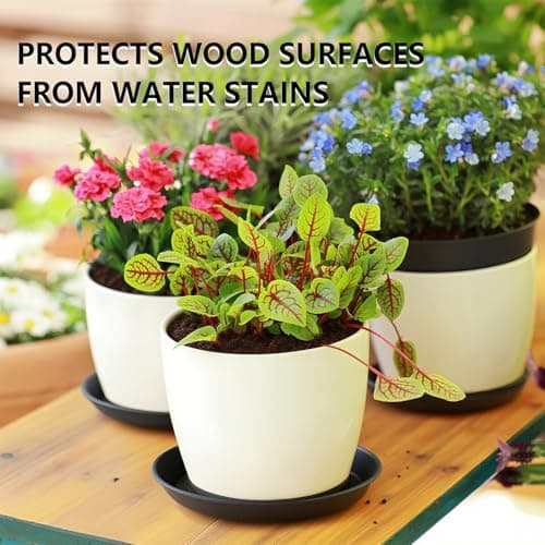 Garrdeen 6 Pack 10 Inch Black Round Plant Saucers, Thick PP Plastic Pot Trays for Large Planters, Durable Flower Pot Water Catcher Plates & Drip Trays for Indoor Outdoor Gardening - Thumbnail 6