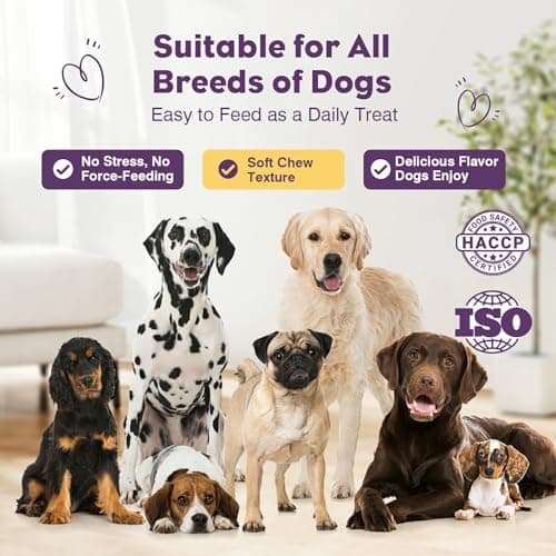 TTLXRL Probiotics for Dogs 200pcs Dog Probiotics for Digestive Health Digestive Enzymes and Prebiotic, Probiotic Chews for Dogs Support Gut Health, Relieve Diarrhea, Itchy Skin, Enhance Immunity - Thumbnail 6