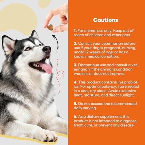 CleverasHealth Dog Allergy Relief Chews 200ct Relieve Seasonal Allergies and Skin Itching Alleviate Licking Behavior Boosting Immunity and Hair Protection - Chicken - Thumbnail 6