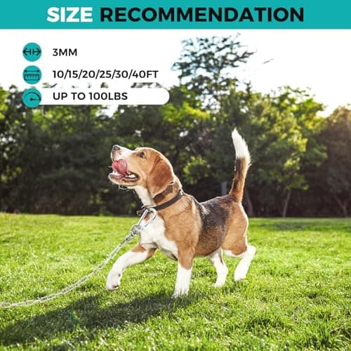 Libbipaw Heavy Duty 15FT Galvanized Dog Chain for Yard, Chew Proof Rust Resistant Tie Out Cable with 360° Swivel Hook, Tangle Free Runner Leash for Dogs up to 100lbs (3MM 15FT) - Thumbnail 6