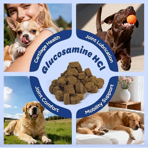 Xiderdl Dog Hip & Joint Supplement Chews with Glucosamine, Chondroitin & MSM – Joint Support Chews with Vitamins C & E for Dogs 120 Soft Chews - Thumbnail 4