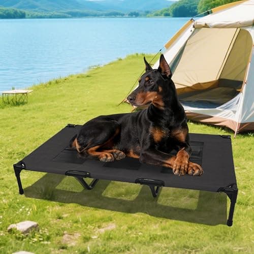 Elevated Dog Bed with Heavy-Duty Steel Frame, Breathable Mesh Cooling Surface, Easy to Clean, Portable Raised Dog Cot for Indoor & Outdoor Use,49x32x8 Inches Black Dog Bed,Size L.