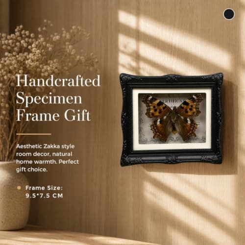 1Pcs Real Butterfly Framed Handmade, Taxidermy Butterfly Shadow Box Collection, Framed Butterfly Taxidermy for Oddities and Curiosities Gifts Tabletop Ornaments (#11-butterfly Specimen+photo Frame) - Thumbnail 2