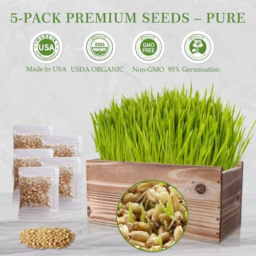 5-Pack Cat Grass Kit for Indoor Cats with Wood Planter, Grow Organic Non-GMO Wheat Grass in 4-7 Days, Aids Digestion & Hairball Control, Ideal Birthday Gift for Cat Lovers - Thumbnail 2