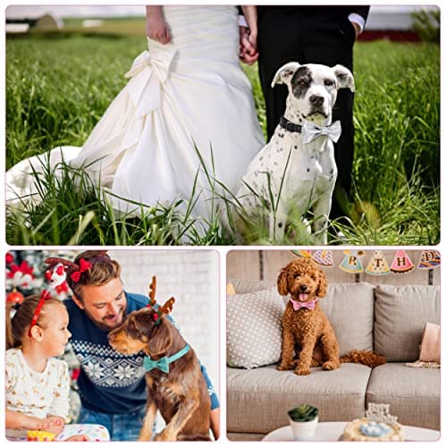 Jumpress Bling Bow Tie Dog Collar and Leash Set, Cute Pink Girl Dog Collar with 5ft Leash for Small Medium Dogs Daily Walking or Holiday Party (Neck fit 11-16’’) - Thumbnail 5