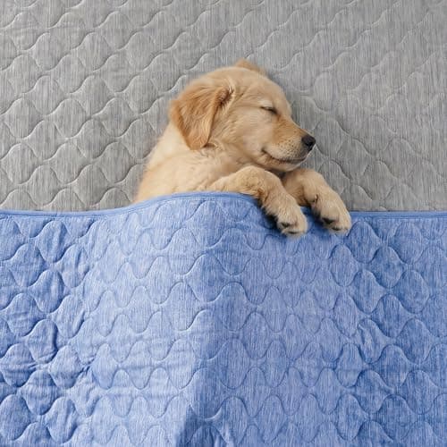 Cozy Bliss Deluxe Leakproof Cooling Blanket for Large Dogs Q-Max 0.5, Soft & Durable Washable Pet Cooling Mat for Hot Weather, Livingroom, Couch & Bed Protector for Cats, Haze Blue, 40"x60" - Thumbnail 3