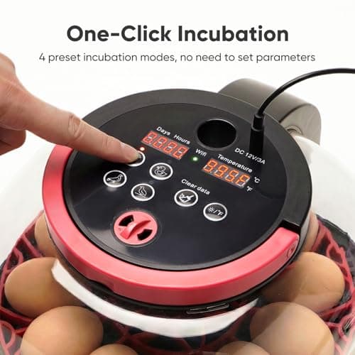 Joiify Incubators for Hatching Eggs, 12-24 Egg Smart WiFi Incubator with 1080P Camera, App Control, One-Click Incubation for Chicken Quail Duck Pigeon, Auto Egg Turner, External Water Refill, Candler - Thumbnail 2