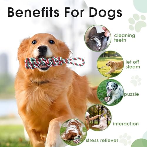 HOPET Bungee Tether Tug Outdoor Dog Toy with Stake,Tug of War Dog Toy for Aggressive Chewers to Keep Them Busy,Outdoor Interactive Dog Rope Toy for Medium/Small Dogs,Can Used On Lawns,Trees and Doors - Thumbnail 6
