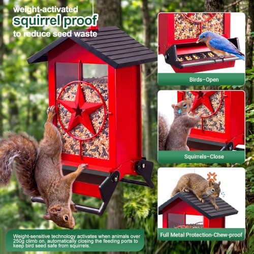 Squirrel Proof Bird Feeders for Outdoors with Weight-Activated, Metal 5LB Large Wild Bird Feeders for Cardinals,Blue Jay,Finch, Weatherproof Durable Hanging Bird Feeder for Backyard,Garden (Red) - Thumbnail 2