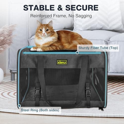 Small Dog Carrier for Puppies, Rabbits, Cat Carrier Soft, Foldable Travel Bag, Fits Pets up to 25lbs, Car Seat Belt Compatible, Ideal for Car Road Trips, Anti-Scratch Mesh, 20x13x13 in, Black - Thumbnail 4