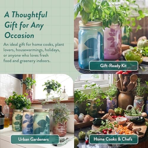 Modern Sprout Garden Jar Gift Pack - Self-Watering Hydroponics Growing System Kit with Organic Herb Seeds - Seed Starter Kit for Indoor Herb Garden - Home Decor & Gifting - Basil, Parsley & Mint - Thumbnail 4