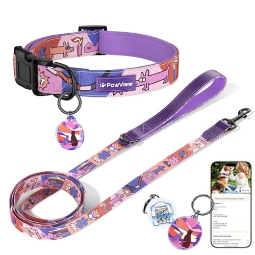 PawView Dog Collar and Leash Set, QR Tag Adjustable Pet Collar, 5 FT Heavy Duty Dog Leash, Padded Handle, Quick Release Buckle, Metal Ring, 360° Swivel Clip for Small Dogs Walking Running (Purple, S) - Image 1