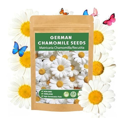 LUOJIBIE German Chamomile Seeds, 60,000+ Chamomile Flower Seeds Bulk for Planting Outdoor Indoor Garden, Heirloom & Non-GMO Matricaria Chamomilla/Recutita Herb Seeds, Easy to Grow - Image 1