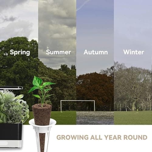 inbloom Salad Green Seed Pod Kit for AeroGarden, Ahopegarden, GARDENCUBE, MUFGA, 18 Pods (350+ Seeds with American Fast/Paris Island/Buttercrunch Lettuce, Swiss Chard, Spinach, Cauliflower, Cabbage) - Thumbnail 6