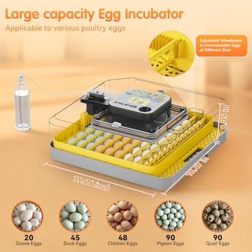IBKINXX Incubator for Hatching Eggs-48 Egg Capacity, 2026 Newly Upraded Auto Egg Turner & Auto Precision Humidity Control System, 360° Clear Viewing for Chicken, Duck and Quail Eggs (Yellow) - Thumbnail 4