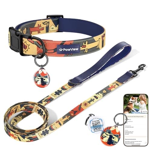 Dog Collar and Leash Set, QR Tag Adjustable Pet Collar, 5 FT Heavy Duty Dog Leash, Padded Handle, Quick Release Buckle, Metal Ring, 360° Swivel Clip for Medium Dogs Walking Running (Dark Blue, M)