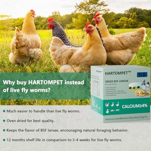 HARTOMPET Better Than Dried Mealworms for Chickens 1 lbs - 85X Calcium Than MealWorms - Non-GMO Chicken Feed Additive & Molting Supplement - Black Soldier fly Larvae Treats for Hens, Ducks, Wild Birds - Thumbnail 3