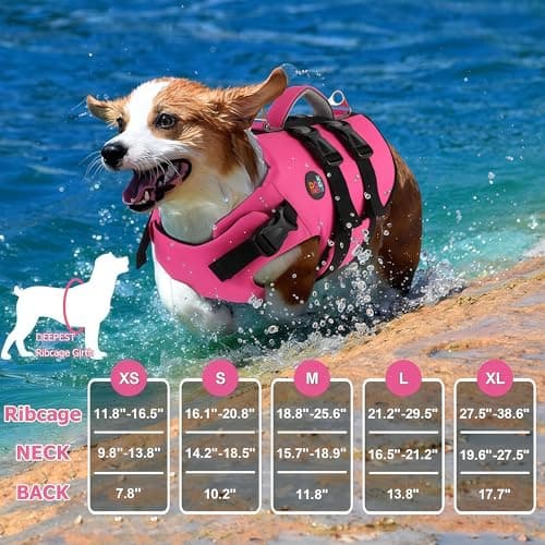 Dogcheer Dog Harness Life Jacket, High Buoyancy Neoprene Dog Life Vest for Swimming Boating, Adjustable Puppy Swim Vest Reflective Pet Float Vest for Small Medium Large Dogs - Pink, S - Thumbnail 2