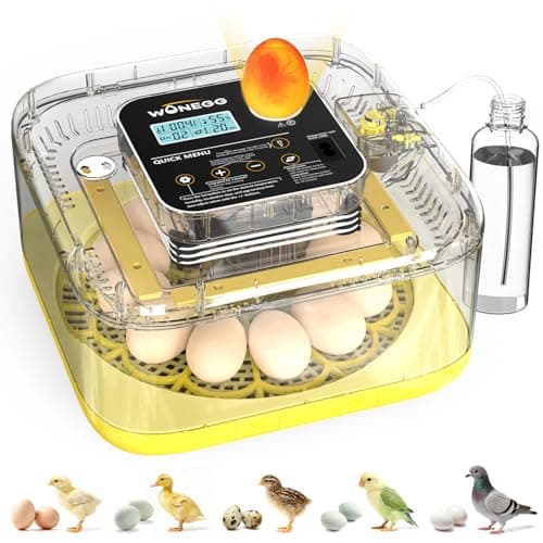 Incubator for Hatching Eggs, 12 Eggs Incubator with Automatic Egg Turning, Temperature & Humidity Control, LED Egg Candler, Incubation Days Display, for Chicken, Duck, Quail, Parrot Bird Eggs