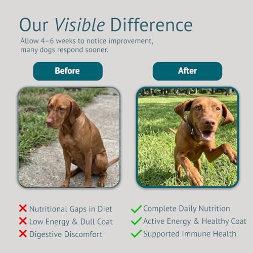 VetsLeaf Dog Multivitamin Chews - Glucosamine, Probiotics, Salmon Oil, Mushroom Blend & Ashwagandha - Daily Dog Vitamins for Immune, Joint, Skin, Gut and Energy Support - Made in USA - 60 Count - Thumbnail 5