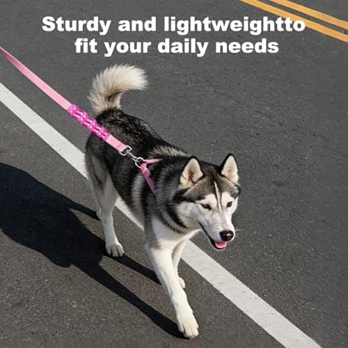 Heavy Duty Dog Leash, 5FT Wide 2.5cm Shock Absorbing Dog Leashes with Zinc Alloy Clip, Comfortable Handle,Training Leash for Medium Large Dogs - Thumbnail 5