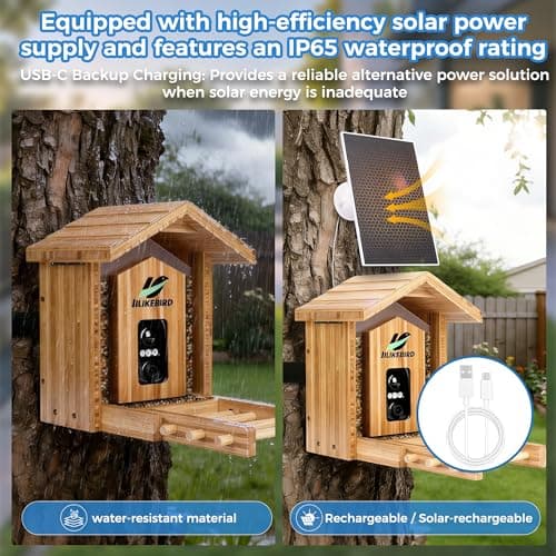Bamboo Smart Bird Feeder with 4K Camera, AI Bird Identification 10000+ Species, Solar Powered & USB-C Charging, IP65 Weatherproof, 1.25L Speed Capacity for Outdoor Garden (Wall Mount/Pole) (Large) - Thumbnail 4