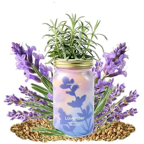 Modern Sprout Mason Garden Jar - Self-Watering Hydroponics Growing System Kit with Organic Herb Seeds - Jar Planter for Indoor Herb Garden - Seed Starter Kit - Home Decor & Gifting - Lavender - Thumbnail 5