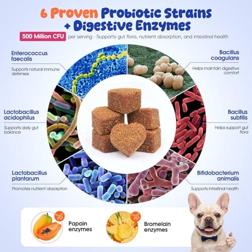 Pounzene Dog Probiotic Chew, Digestive Health, Gut Supplement, Salmon 100Ct - Thumbnail 3