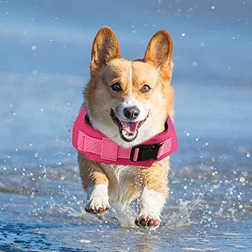 Fragralley Dog Life Jacket Shark, Dog Life Vest Adjustable Ripstop, Puppy Swimming Safety Vest with Superior Buoyancy & Rescue Handle for Small Medium Large Dogs, Swim, Pool, Beach, Boating - Thumbnail 6