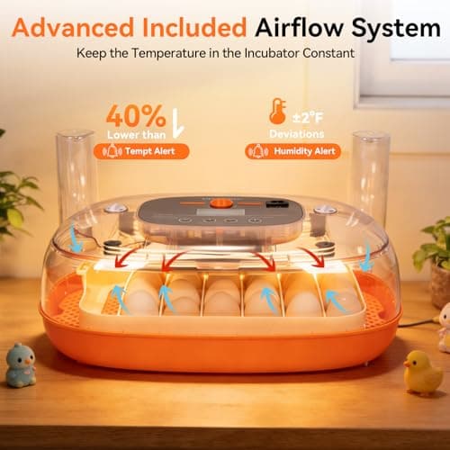 Incubators for Hatching Eggs, 24 Egg Incubator, Automatic Egg Turner with Humidity Control & Digital Temperature, Hatch Day, Auto Water Refill, 360°Viewing for Chicken, Duck, Quail, Duck, Goose - Thumbnail 3