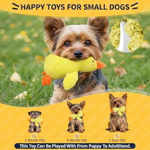 VOXGET Calming Duck Toy for Dogs, 2026 New Interactive Crinkle Toy with Quack Sound for Dogs Teeth, Soft Stuffed Plush Mellow Calming Duck Pillow for Puppy Keep Busy -Yellow, 9"x6"(S) - Thumbnail 6