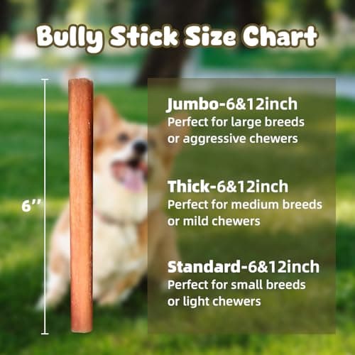 Bully Sticks for Dogs 6 Inch Beef Collagen Dog Chews for Large Dogs, Medium and Small Breeds Healthy Bully Bones Long Lasting Chew Treats for Aggressive Chewers Low Odor Rawhide Free Dental Treats - Thumbnail 5