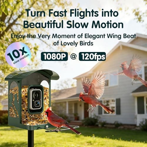 Humbirdy Bird Feeder with Camera, 4K Ultra HD Video with 30fps Live View, 10x Slow Motion, No Subscription, Solar Powered AI Smart Bird Feeder with Camera, 2.4G/5G Wi-Fi, Durable Metal,Bird Lover Gift - Thumbnail 4